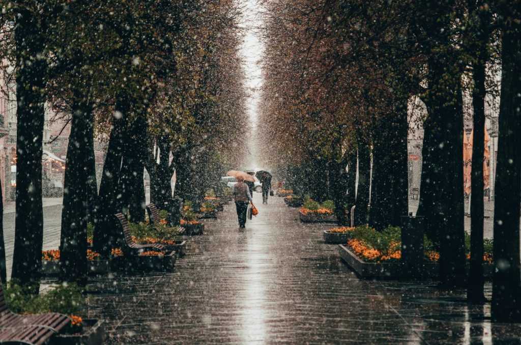 A rainy day