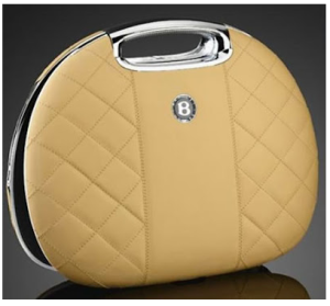 Fancy laptop with leather casing